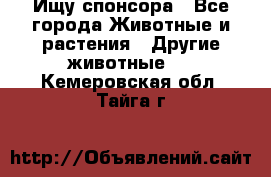 Ищу спонсора - Все города Животные и растения » Другие животные   . Кемеровская обл.,Тайга г.